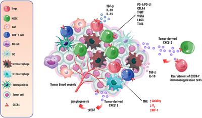 The story of clobenpropit and CXCR4: can be an effective drug in cancer and autoimmune diseases?
